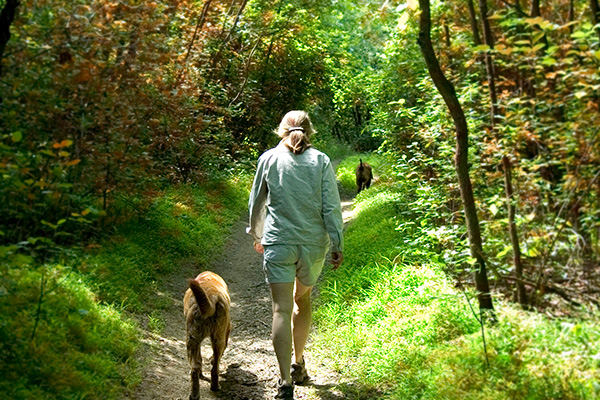 Woman and dog walking in woods