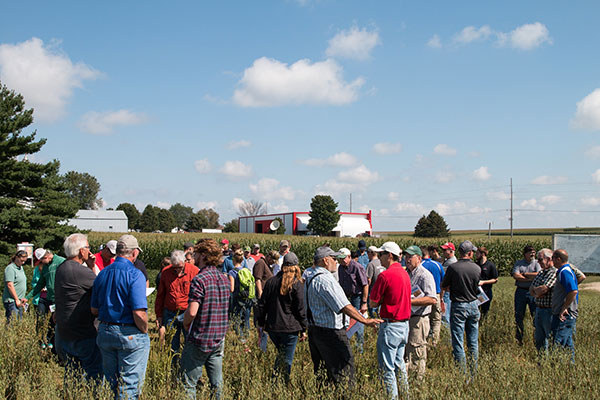 people in a field