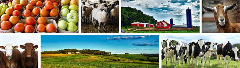 Image collage of vegetables, goats, cows, and farms.