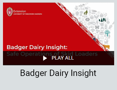 Badger Dairy Insight playlist