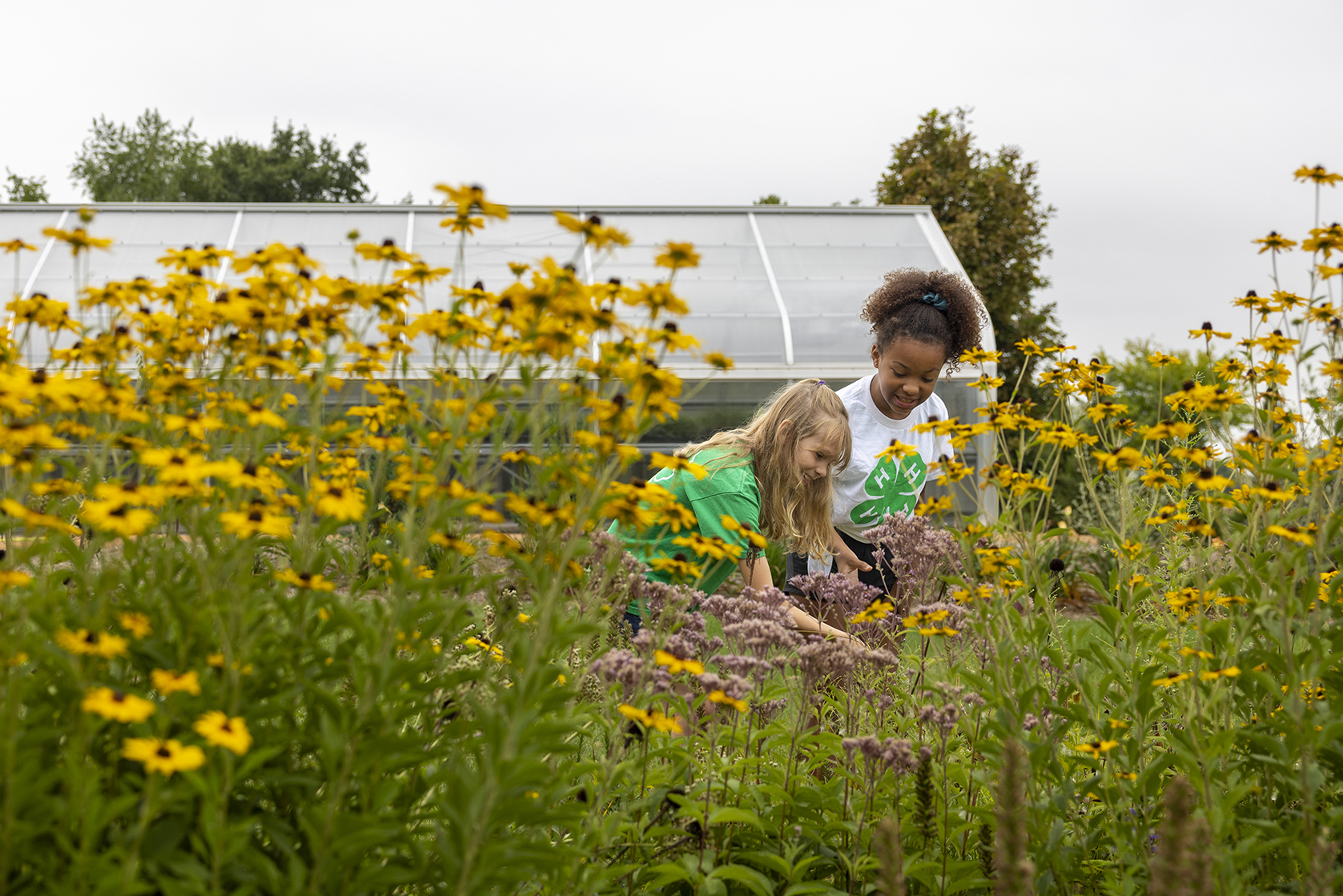 children in a garden
