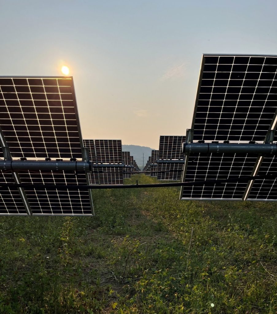 Rows of solar panels in a field