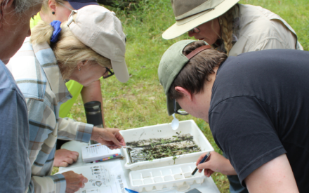 Engaging Communities in Science