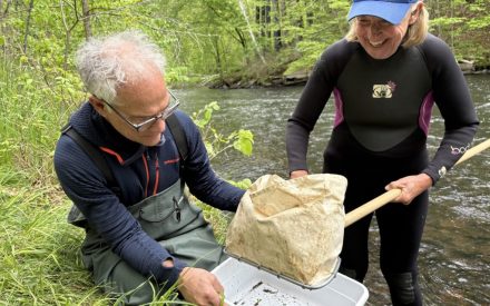 Water Action Volunteers: Engaging communities in monitoring water quality