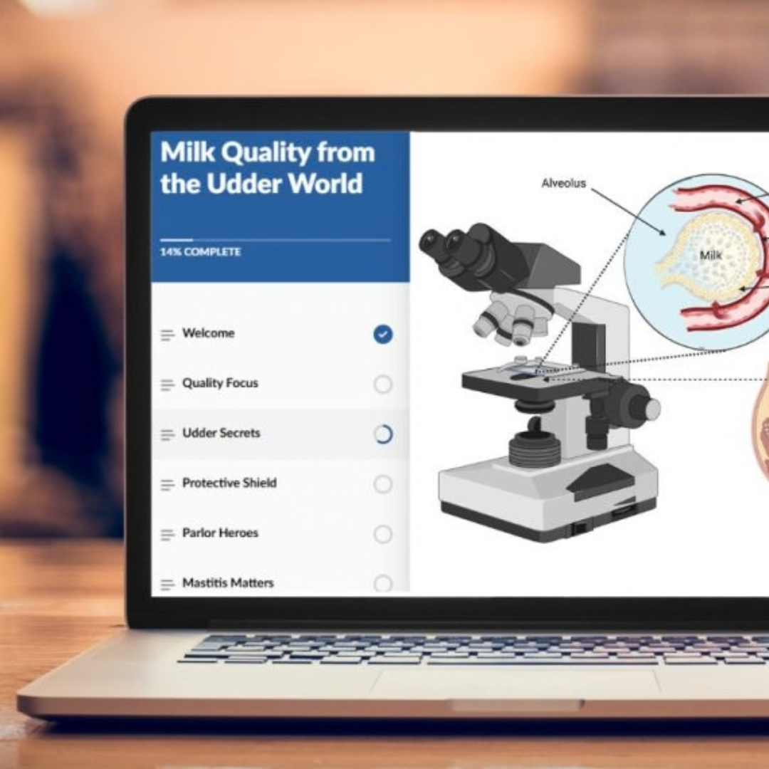 Lap top with course on screen that says "Milk Quality from the Udder World"