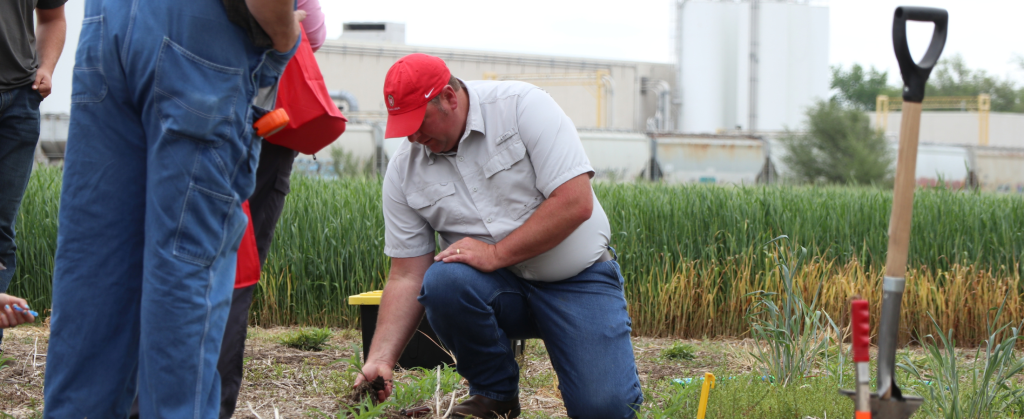 Man kneeling in a field holding a weed while a group of people watch