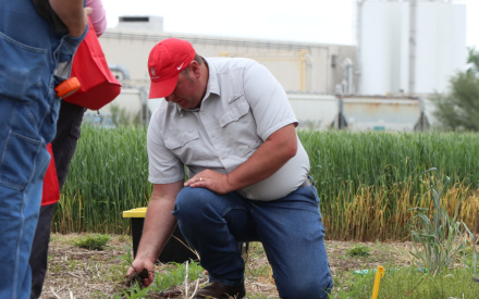 Reinforcing local economies through professional development