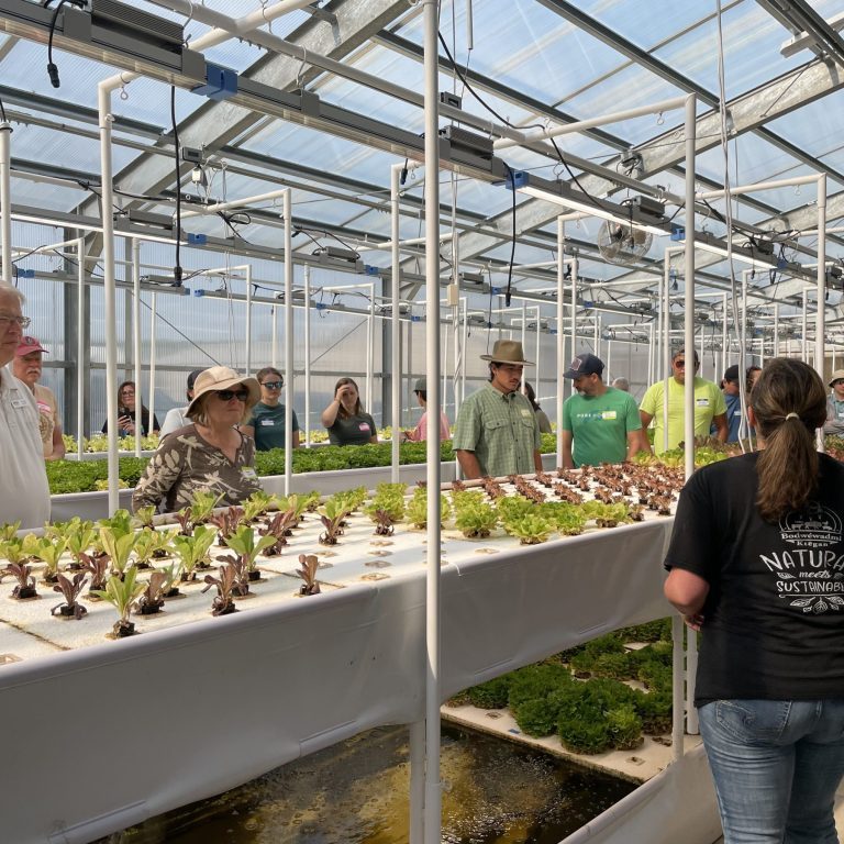 People standing in a green house by plants